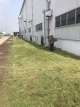 cắt cỏ công ty